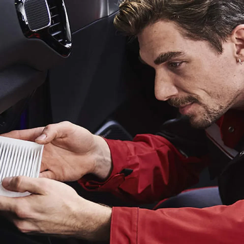 werken bij Kooijman Q en A