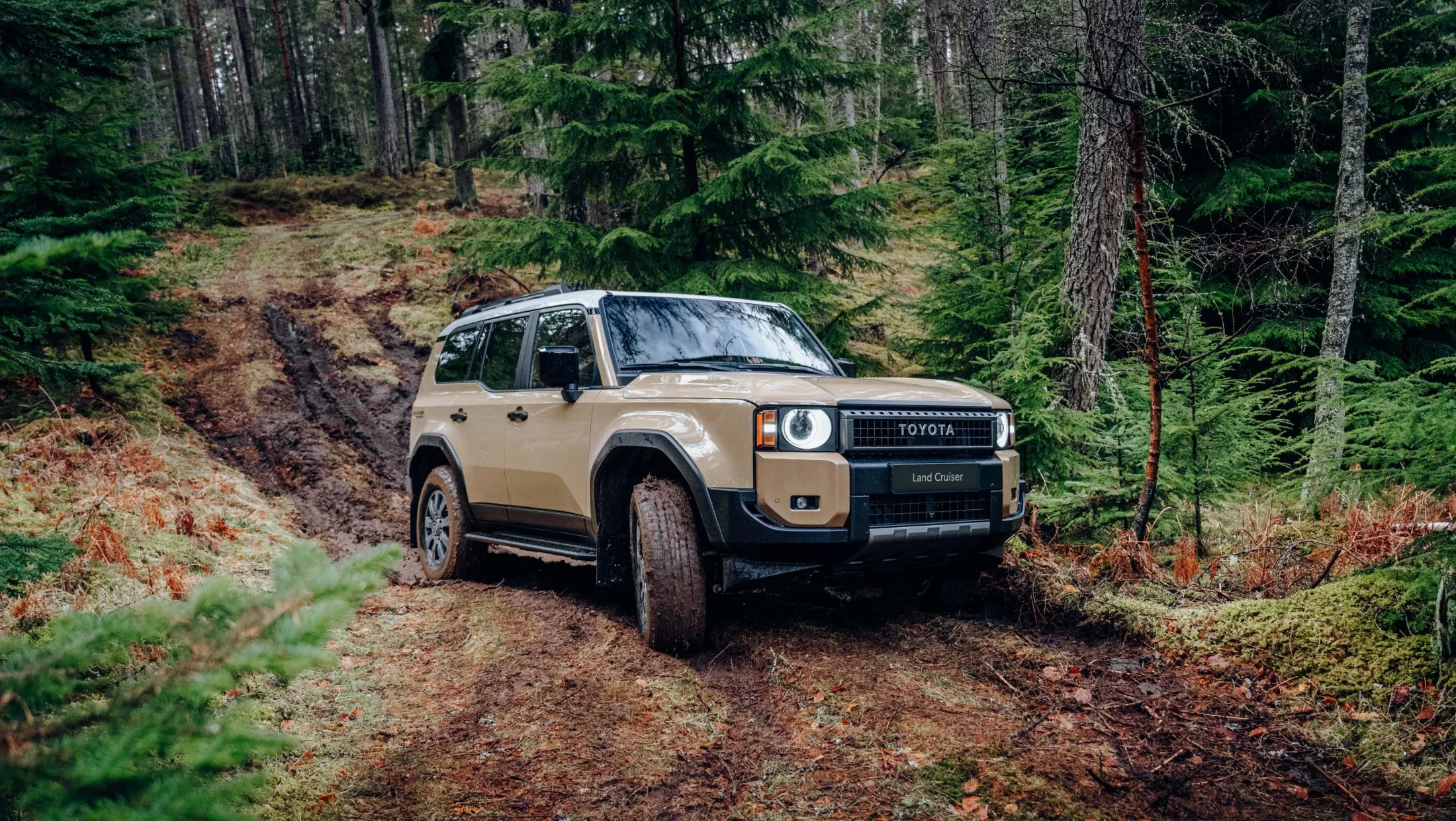 toyota landcruiser first edition 2024 kooijman autogroep